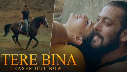Salman-Jacqueline ने फॉर्महाउस में खुद शूट किया Tere Bina Song | FilmiBeat