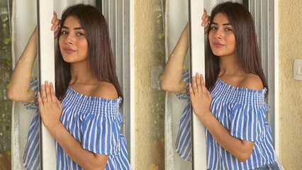 Shehnaz Gill ने Instagram पर Share की ये Stylish फोटो; फैंस हुए खुश | FilmiBeat