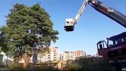 Yuvasından düşen yavru kuşun yardımına itfaiye yetişti