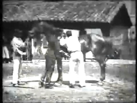 La Voltige (El volteo) [1895]