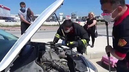 Otomobilin motorundan çıkarılan kedi itfaiye aracının motoruna girdi