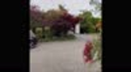 Andy Murray sort les raquettes pour la première fois en 7 semaines