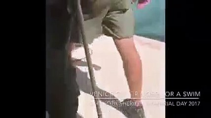 nhanh chóng bị lực lượng chức năng đưa đi chỗ khác.