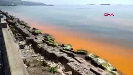 Tekirdağ sahilleri yeniden turuncu renge büründü