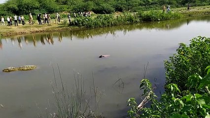 Скачать видео: झांसी: नदी में तैरता हुआ मिला अज्ञात युवक का शव