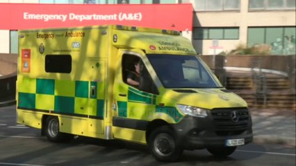 Top News - Njerëzit me ngjyrë/ 4 herë më të rrezikuar nga covid