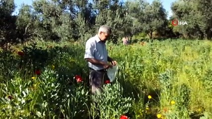 Balıkesirli çiftçi hırsızlardan bıkınca tarlasına kamera kurdu