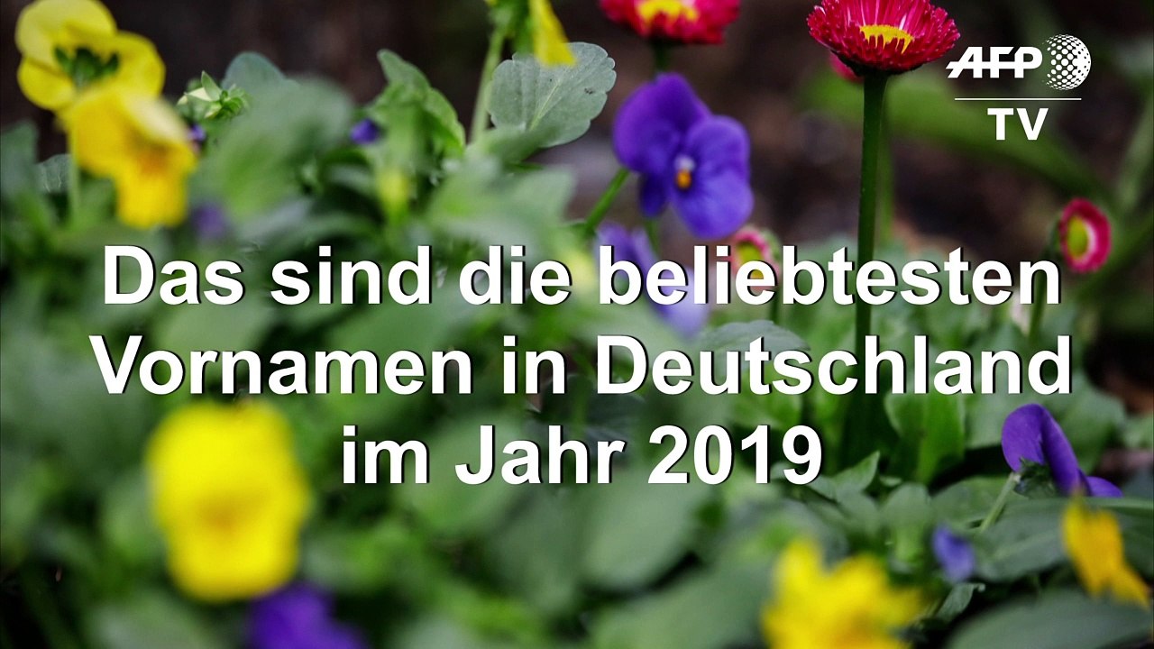 Hanna(h) und Noah sind die beliebtesten Vornamen