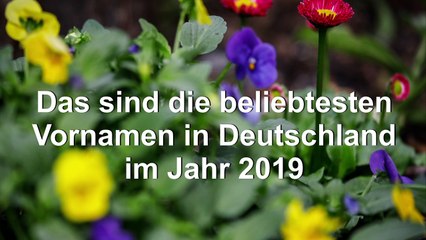 Hanna(h) und Noah sind die beliebtesten Vornamen