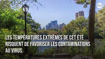 Les températures extrêmes de cet été risquent de favoriser encore davantage la propagation du virus