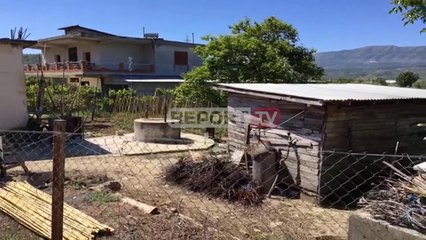 Report TV -Po hapnin pus për vaditje në Berat vdesin 3 persona