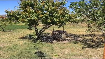 Report TV -Tragjike në Berat/Po pastronin pusin dhe asfiksohen nga gazi, vdes babai, djali dhe nipi.
