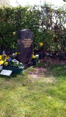 Cậu bé hiển linh qua chú chim