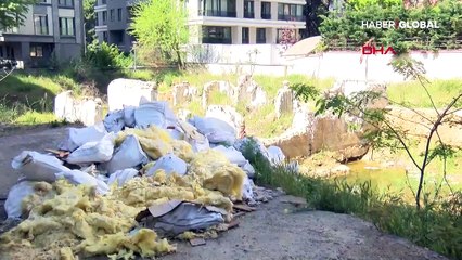 Kadıköy'de koku ve sinek isyanı!
