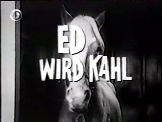Mr. Ed - 047. Ed wird kahl