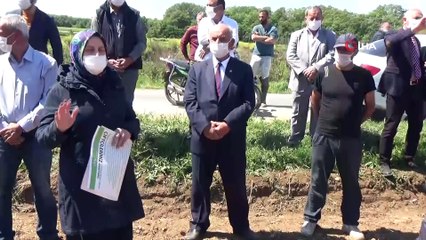 Bafra Ovası'nda damlama sulama çeltik ekimi