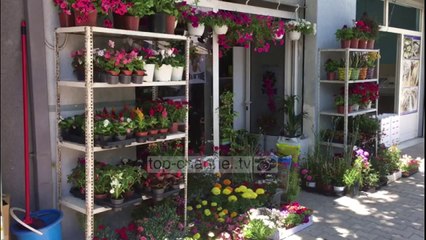 Dy bënin roje, njëri mori lekët në sirtar/ Grabitet dyqani në Fier