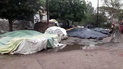 प्रदेश कर्मचारी कल्याण निगम के पास न तो धनराशि है न बारदान: मंडलायुक्त
