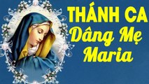 THÁNH CA DÂNG MẸ MARIA - Những Bản Nhạc Thánh Ca Hay Nhất 2019 ĐƯA TA VÀO GIẤC NGỦ BÌNH AN