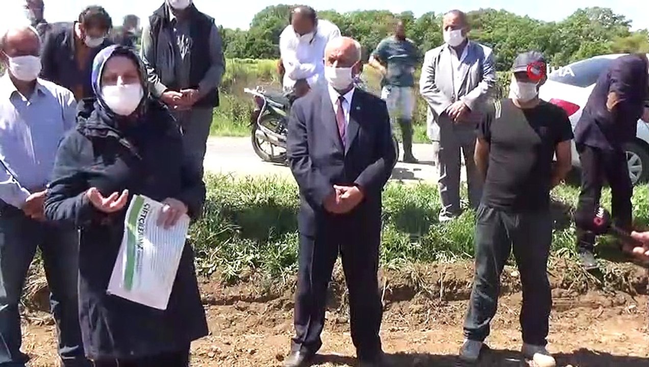 Bafra Ovası'nda Damlama Sulama Çeltik Ekimi