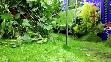 Tàu điện cây xanh ở Trung Quốc