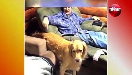 आप भी हैं डॉग लवर तो जरूर देखें ये वीडियो