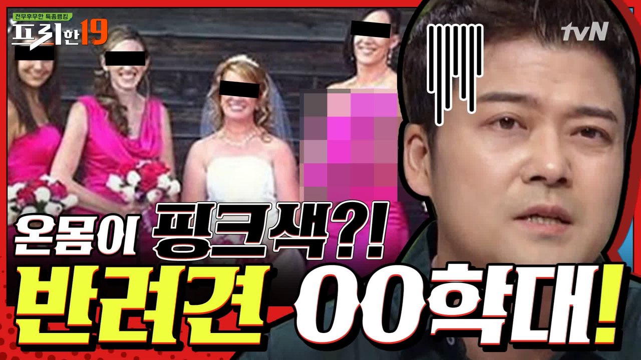 반려견을 장난감 취급한 만행! [욕도 아까운 분노 유발 빌런 19]