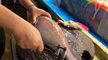 Fish cuting & filleting -Fresh Fish Market in Taiwan