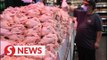 Covid-19: Vet Services Dept looking into whether virus found in livestock