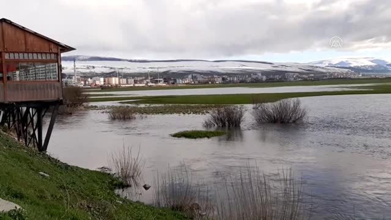 Kura Nehri ve Oltu Çayı kar ve sağanak nedeniyle taştı