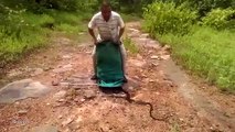 Cảnh tượng đổ hàng trăm con rắn lúc nhúc ra đất