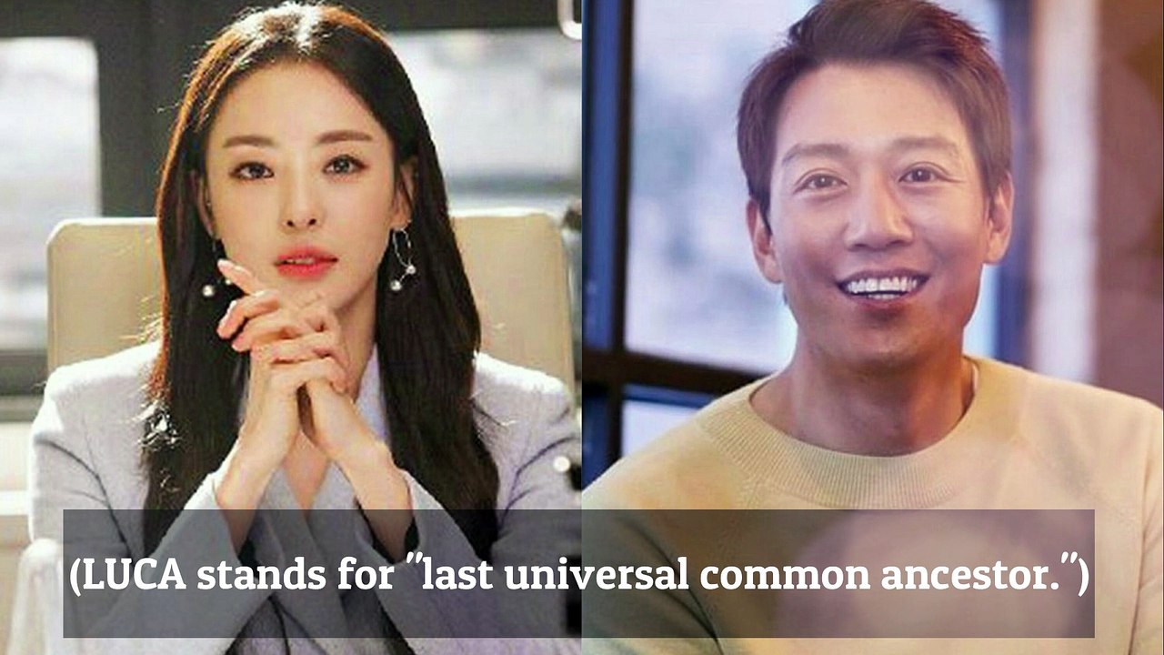 "LUCA" Upcoming Korean Drama 2020 | Kim Rae-Won, Lee Da-Hee