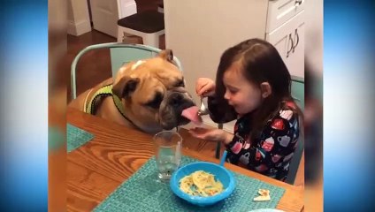 Đây chính là sự ra đời của Sen và Boss