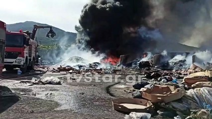 Φωτιά σε εργοστάσιο στο Βαθύ Αυλίδας