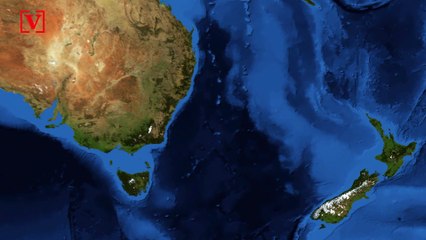 Woman Jailed for Refusing Exam When Entering New Zealand Later Tests Positive for COVID-19