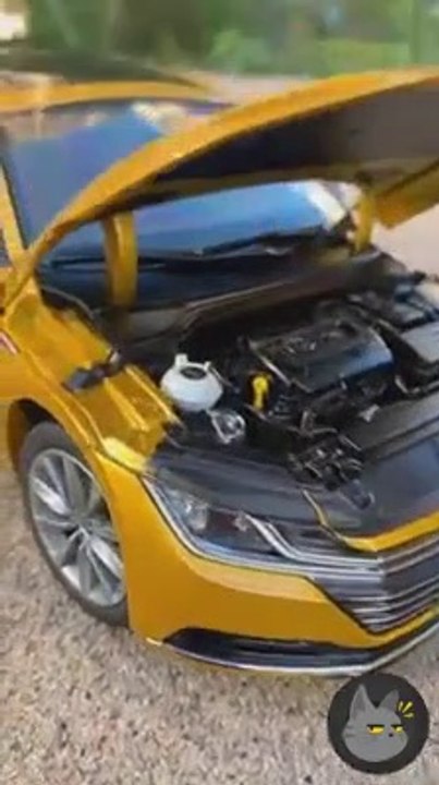 Entertainment Real car toy models that can adjust anything like seats, doors, windows, really satisfying