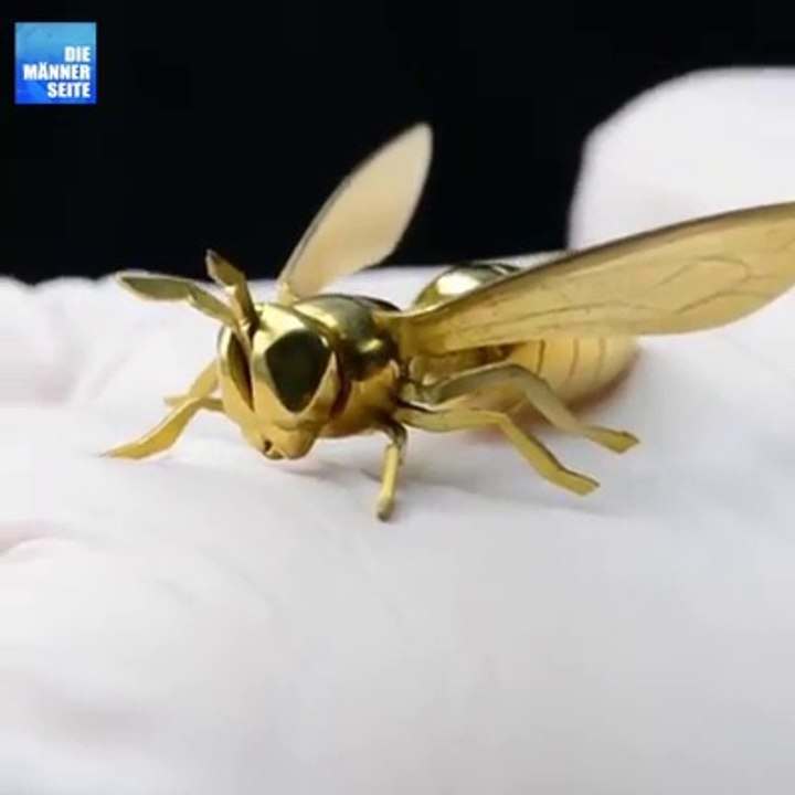 It's made from nuts and bolts wasp, bee entertainment video Dailymotion