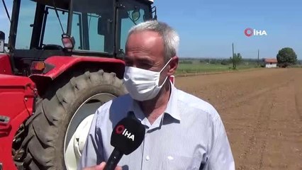 Bafra Ovası'nda damlama sulama çeltik ekimi