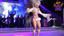 Brazil Carnival- Samba Contests- Beautiful Highlights and Dancers Competition- Carnaval Brasil
