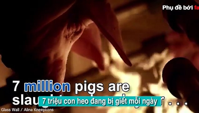 Sốc với nguyên liệu làm ra kem, rau câu, kẹo dẻo... mà chúng ta không hề biết