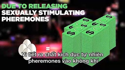 14 điều về tình dục