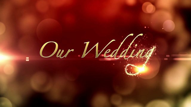 16) Musique. In the Garden. Silent Partner. Country et folk . Inspiration