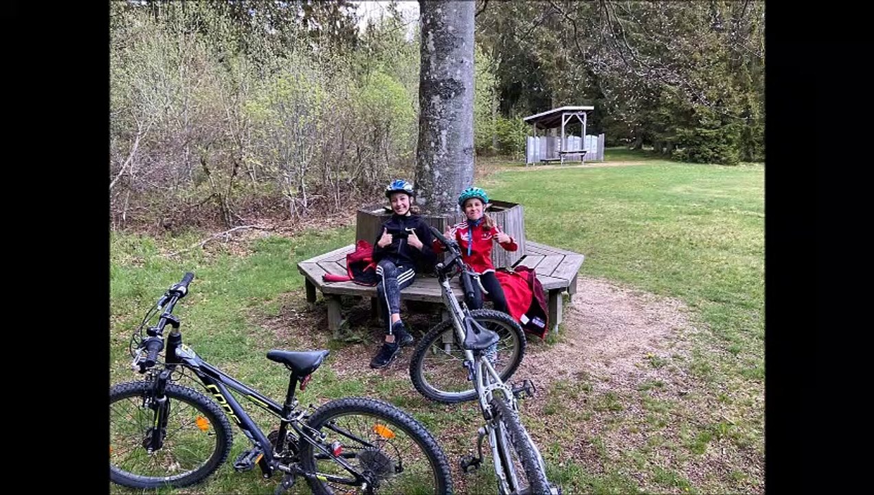 Gymnasium Freyung bewegt