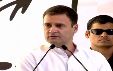 Bank Scam Case: Rahul Gandhi Comes Forward In Defence Of Sharad Pawar