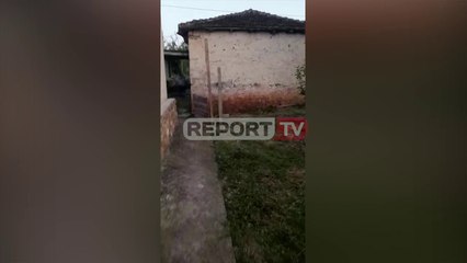 Report TV -Shfrytëzuan banesën bosh për të kultivuar kanabis, pranga dy personave në Kuçovë