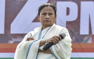 What WB CM Mamata Banerjee Said After Meeting Home Minister Amit Shah