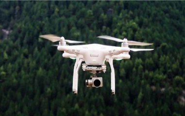Pakistani Drone Enters Indian Border Near Firozpur In Punjab