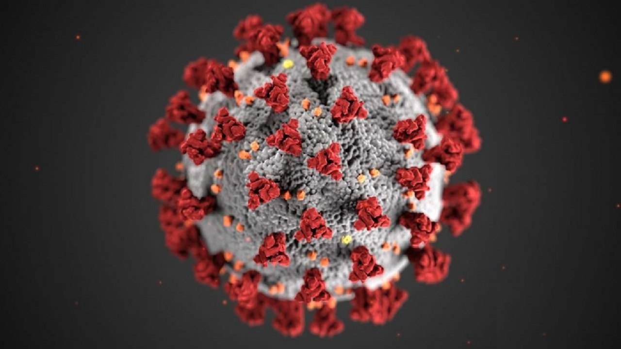 Khalnayak: How Will Deadly Coronavirus Be Defeated?