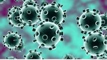 There Could Be Around 1.3 Million Coronavirus Cases By May: Study