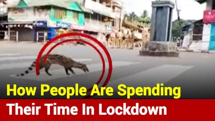 Coronavirus: How People Are Using Their Free Time During Lockdown?